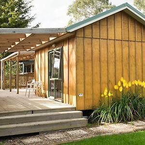 Studio Terrace